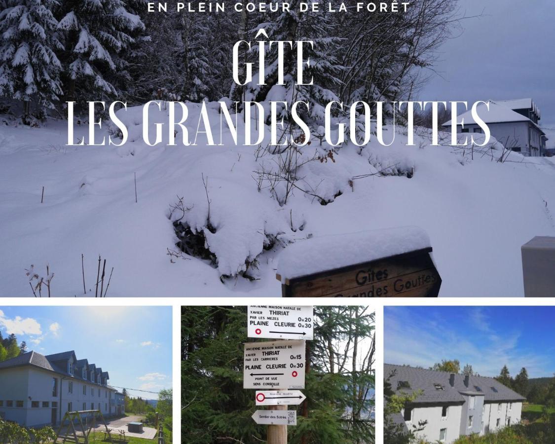 Gites Les Grandes Gouttes Le Syndicat Exterior foto